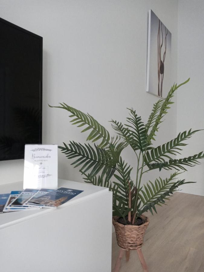 דירות אוביידו La Terraza De La Vega - Ubicacion Inmejorable , Wifi , Terraza Y Parking Gratuito מראה חיצוני תמונה